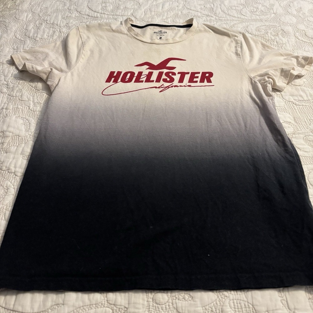 Hollister‎ Men's Short Sleeve T-Shirt